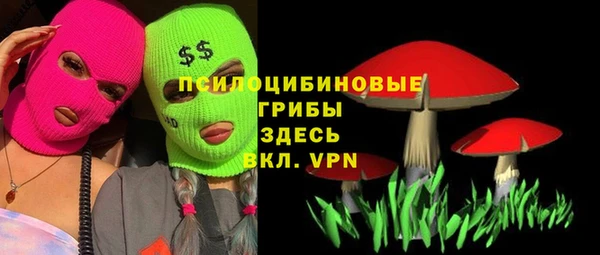 спайс Алзамай
