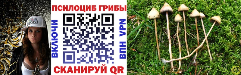 магазин продажи наркотиков  это как зайти  Галлюциногенные грибы ЛСД  Алушта  ссылка на мегу зеркало 