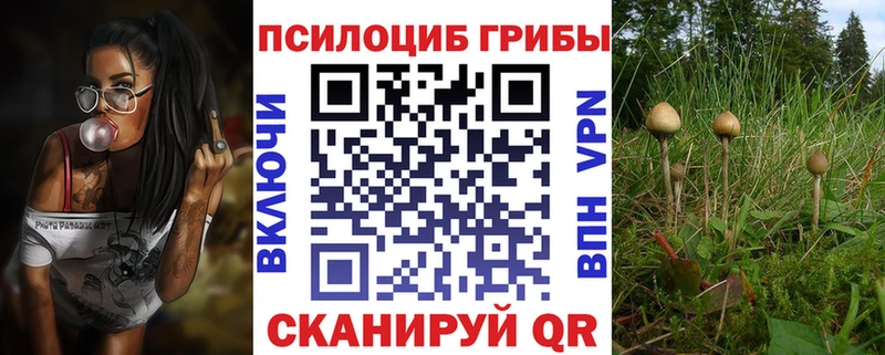 Галлюциногенные грибы прущие грибы Алушта