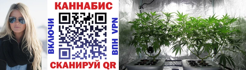 купить наркоту  OMG ТОР  Канабис ГИДРОПОН  Алушта 